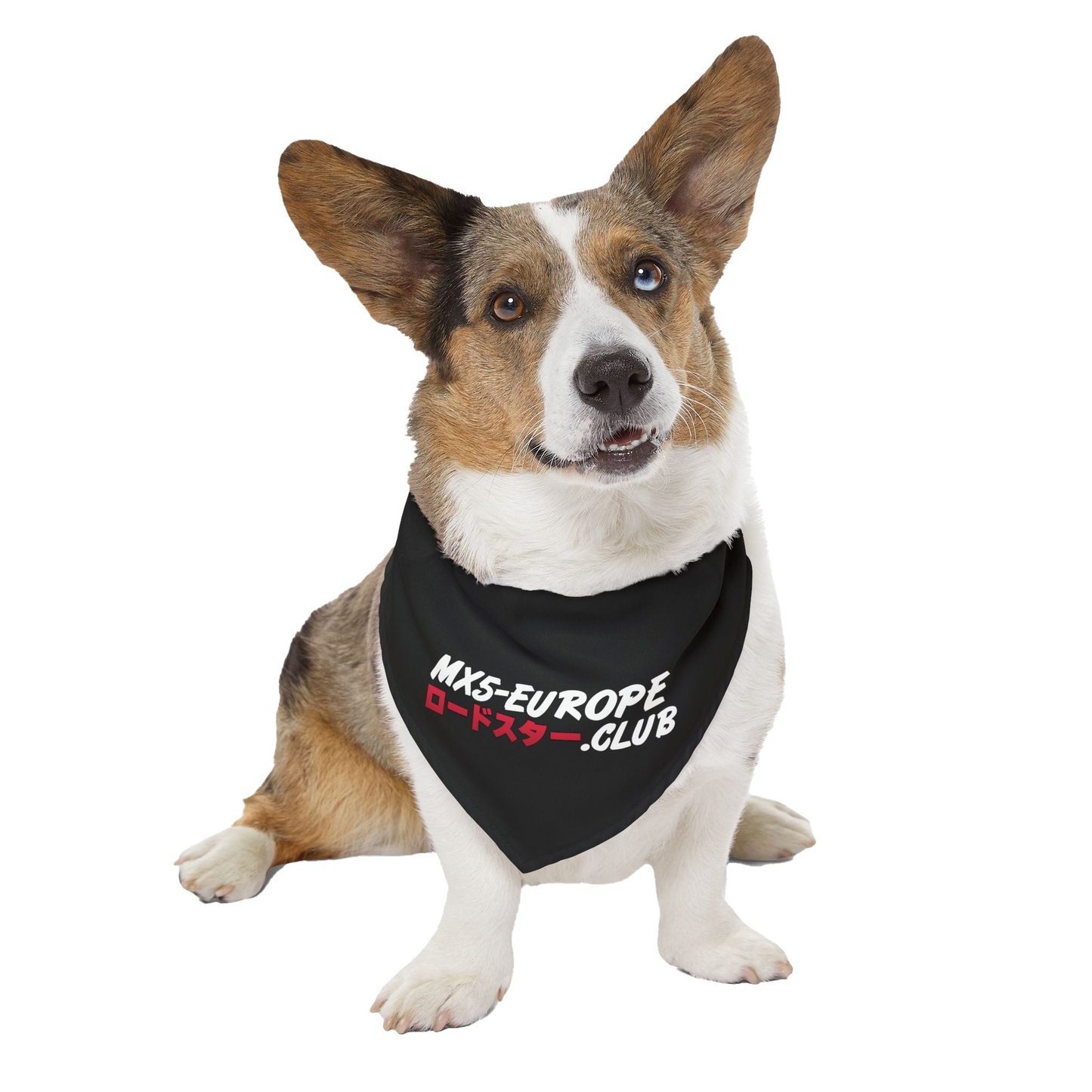 MX5-Europe Dog Bandana Collar