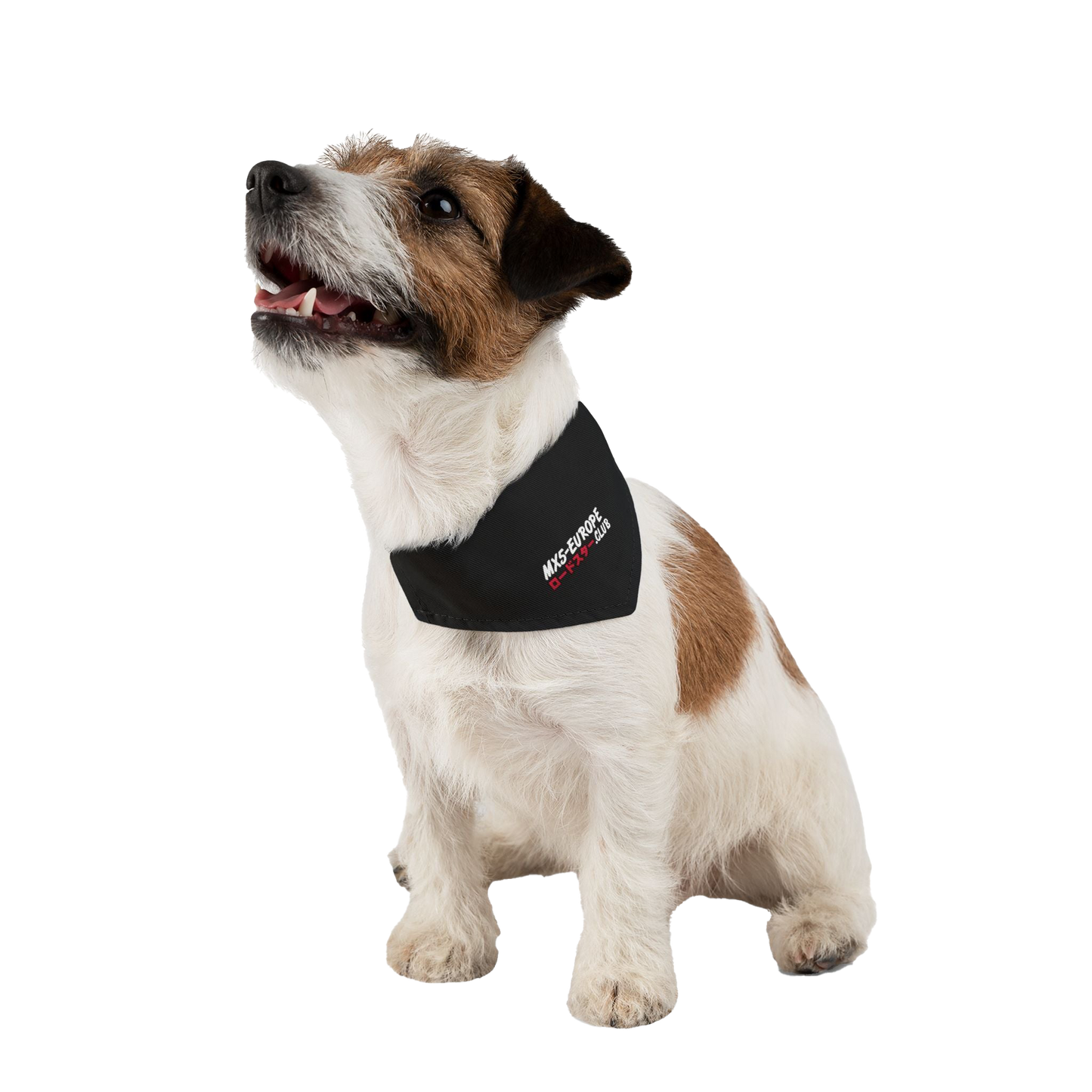 MX5-Europe Dog Bandana Collar